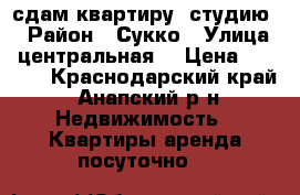сдам квартиру- студию  › Район ­ Сукко › Улица ­ центральная  › Цена ­ 1 000 - Краснодарский край, Анапский р-н Недвижимость » Квартиры аренда посуточно   